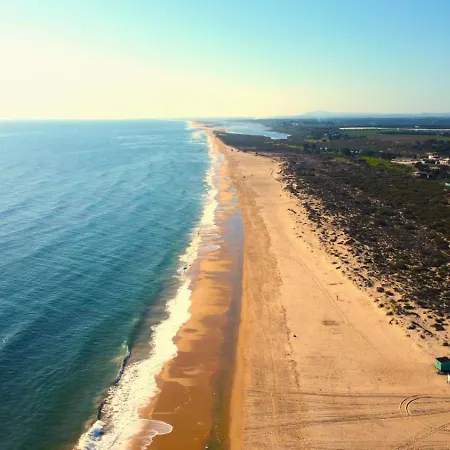 Casa Margarida, Arte Nova フゼタ