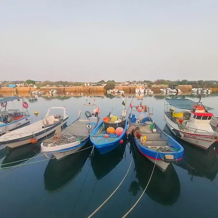 Casa Margarida, Arte Nova フゼタ