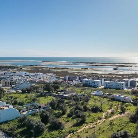 別荘 Casa Margarida, Arte Nova *