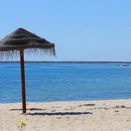 Casa Margarida, Arte Nova * 夫塞塔